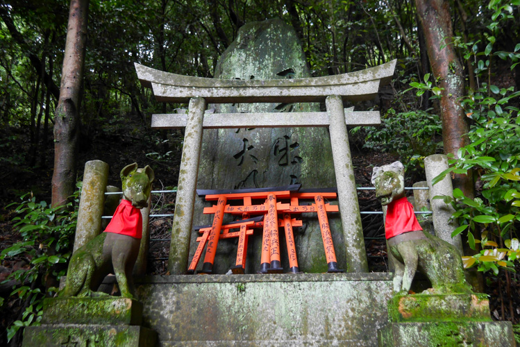 Brama torii w Kioto