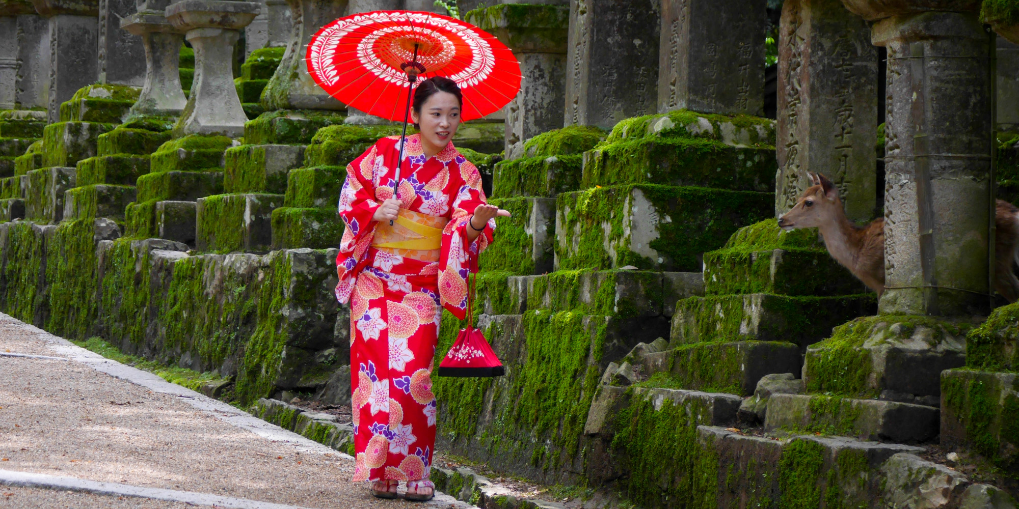 Park Nara w Japonii