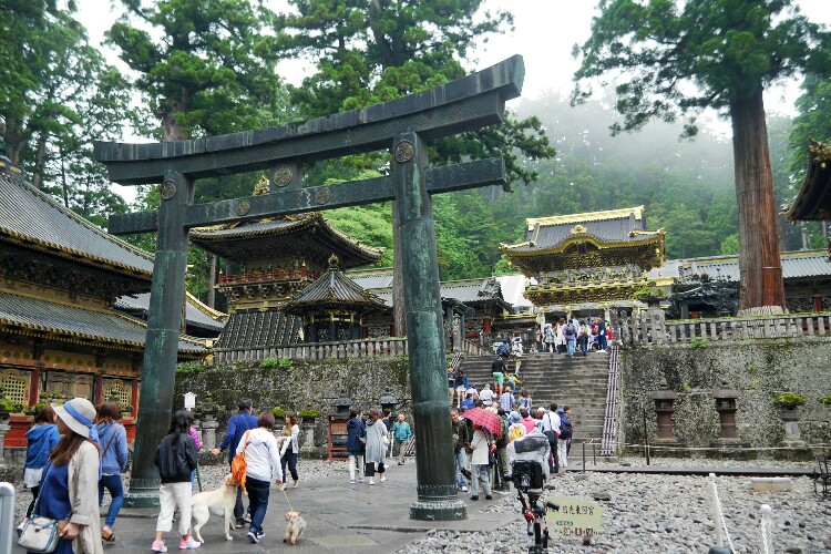 Toshogu w Nikko