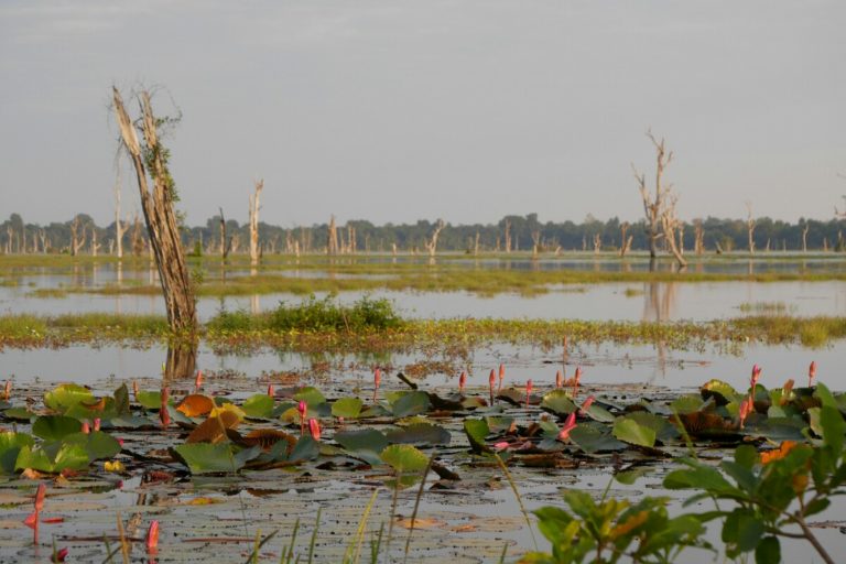 Neak Pean w Kambodży