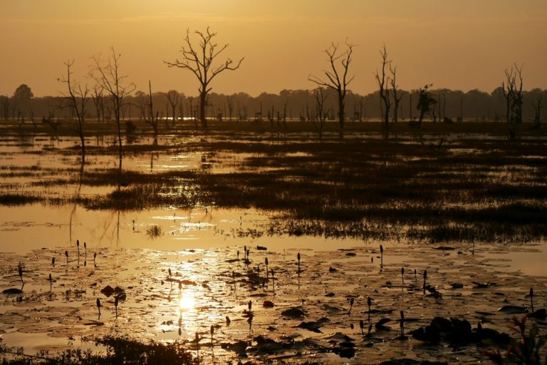 Neak Pean w Kambodży