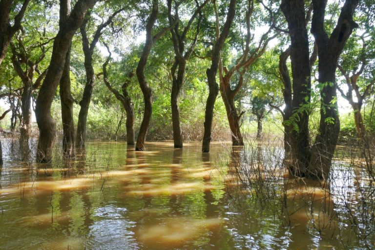 Tonle Sap w Kambodży