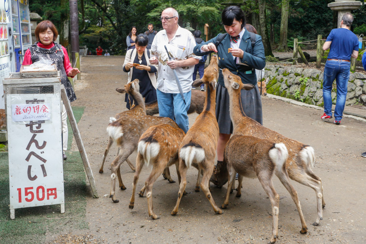 Park Nara w Japonii