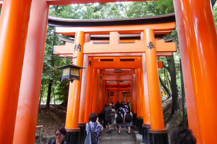 Brama Torii w Kioto
