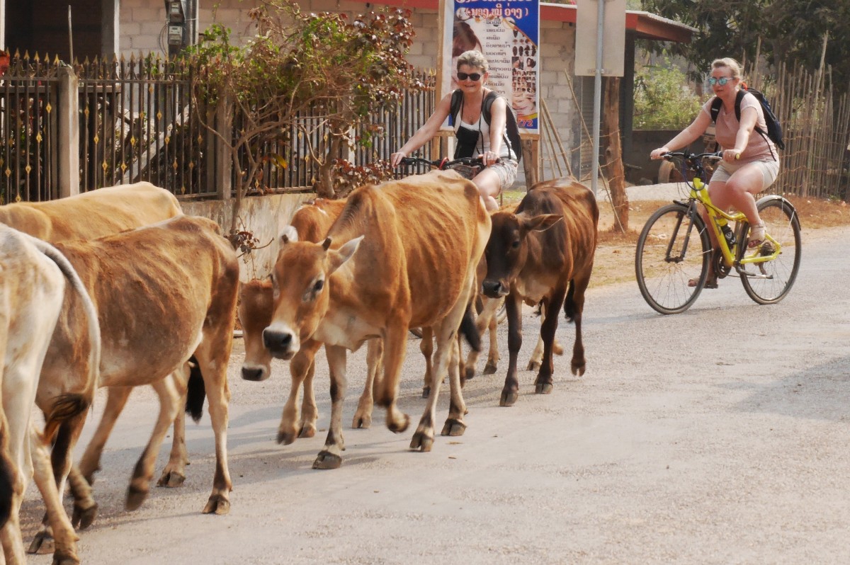 Vang Vieng w Laosie