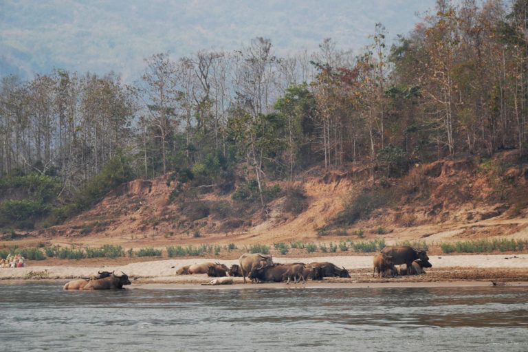 rzeka Mekong w Laosie