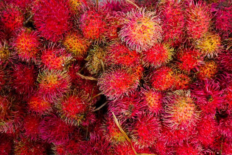 rambutan