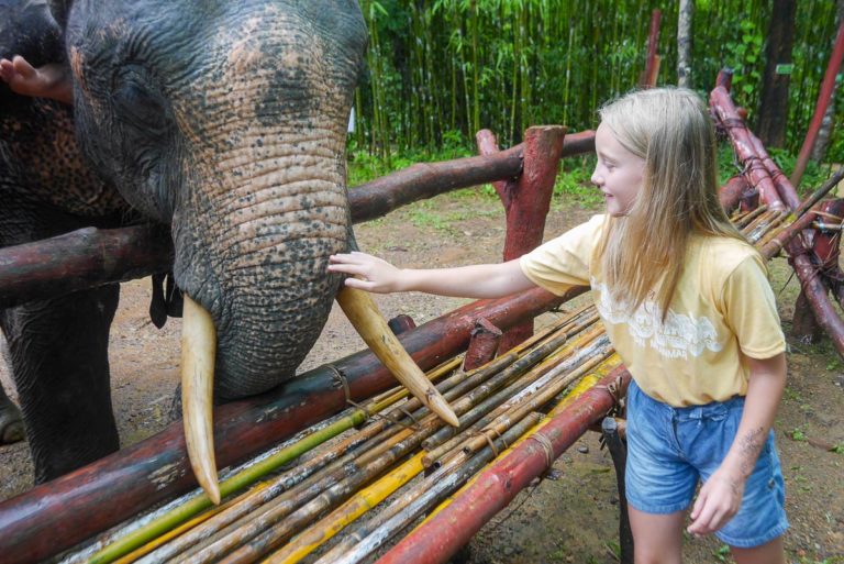 Obóz słoni - Birma
