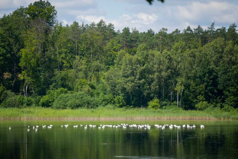 Jezioro w Żydowie