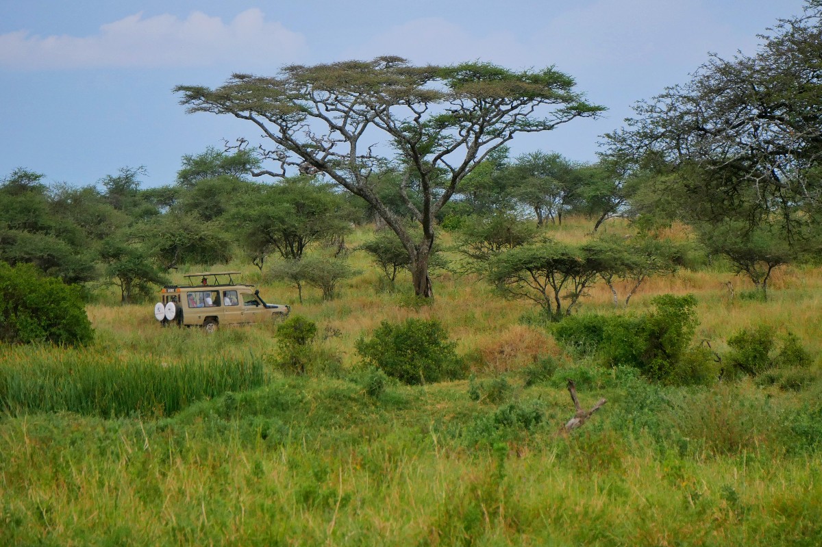 Park narodowy Serengeti