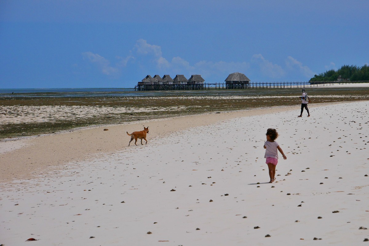 Odpływ na Zanzibarze