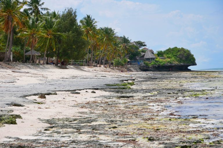 Szeroka plaża Zanzibaru w czasie odpływu