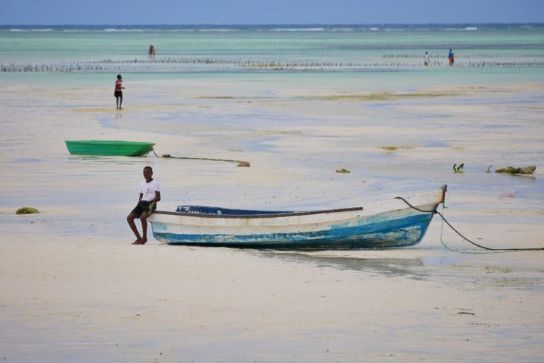 Odpływ na Zanzibarze