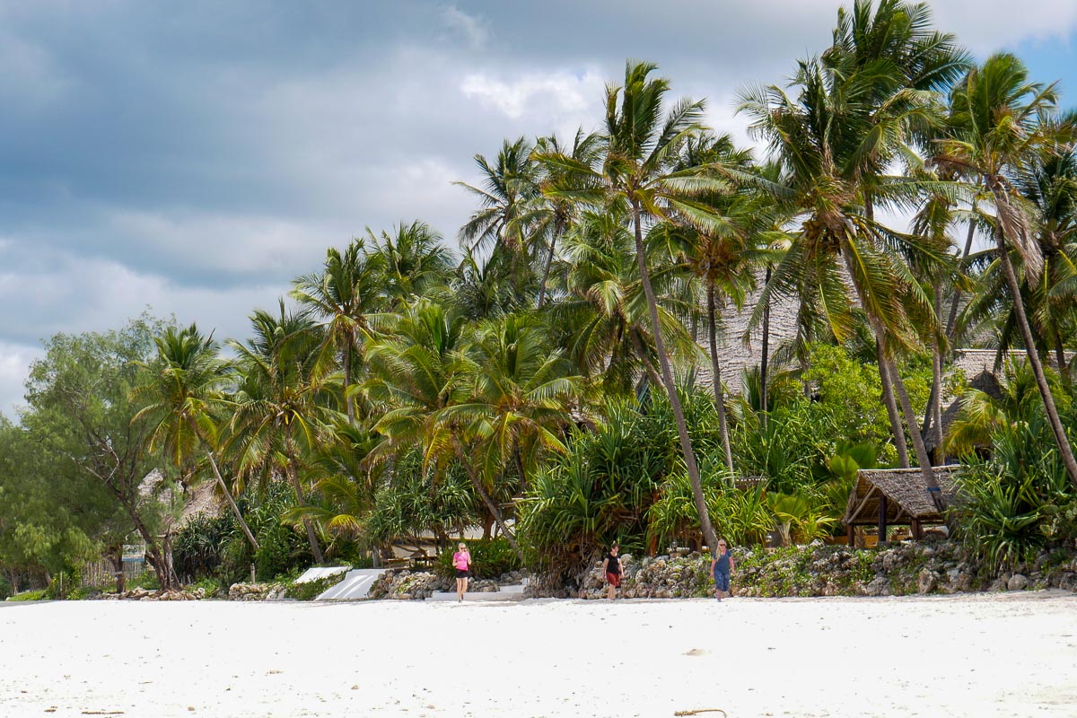 Zanzibar. Plaża we wschodniej części wyspy