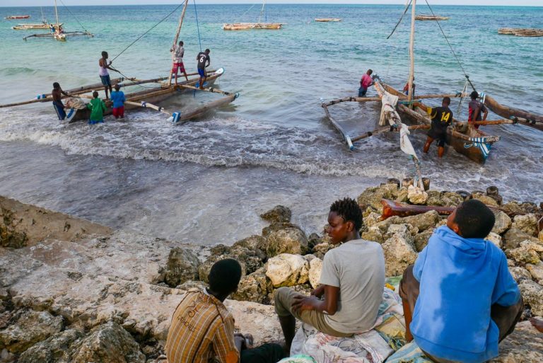 Rybackie łodzie. Zanzibar