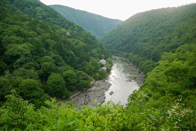 Widok na rzekę Hozu. Zielone wzgórza dzielnicy Arashiyama