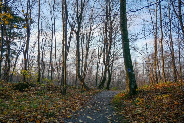 Piękna pogoda w Górach Opawskich