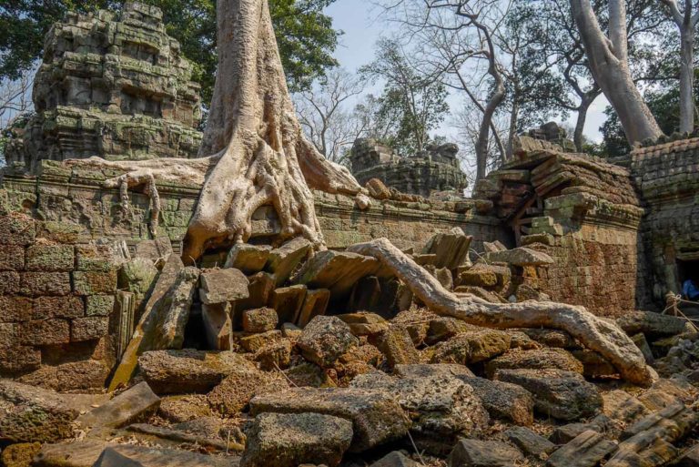 Ta Prohm