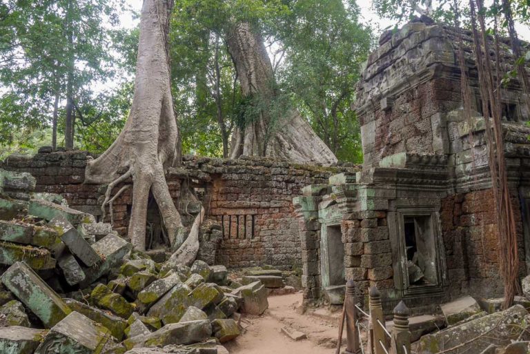 Gęsta zabudowa Ta Prohm