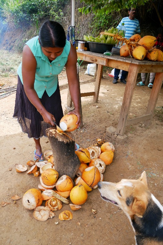 Sprzedawcy kokosów przy Moście Dziewięciu Łuków