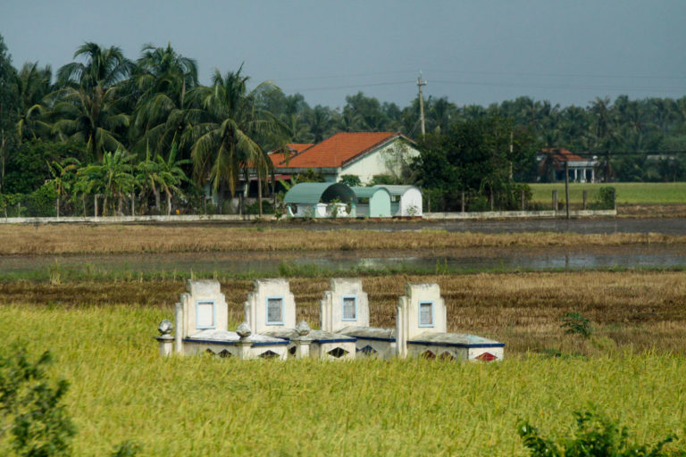 Groby na polu ryżowym